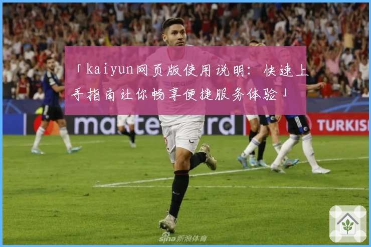 「kaiyun网页版使用说明：快速上手指南让你畅享便捷服务体验」